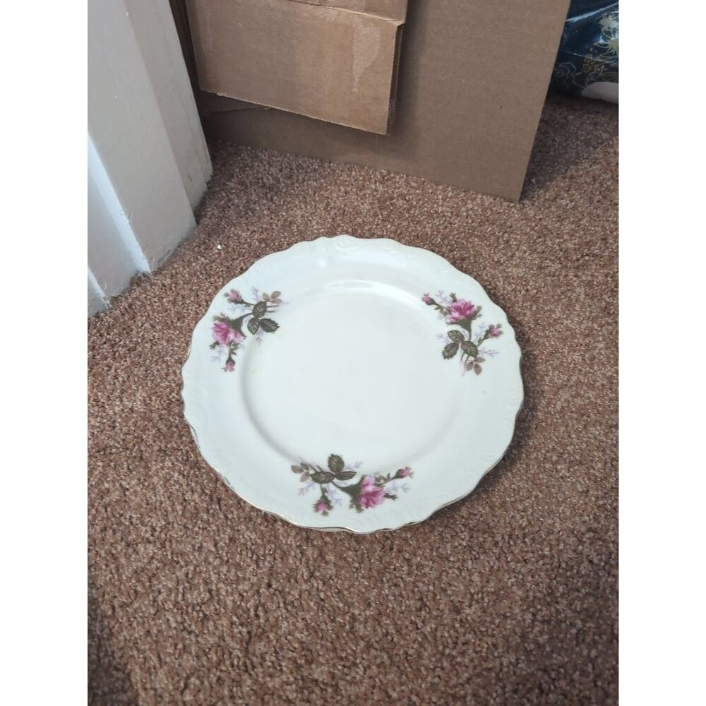 Vintage Floral Patterned Porcelain Dinner Plate Set UNMARKED